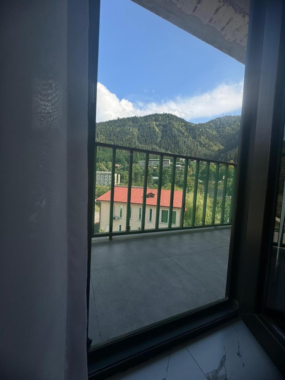 New Apartments In Borjomi Habitación foto